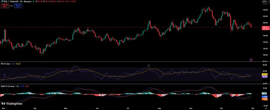 Bitwise与Grayscale激烈角逐:Solana ETF市场主导权之争