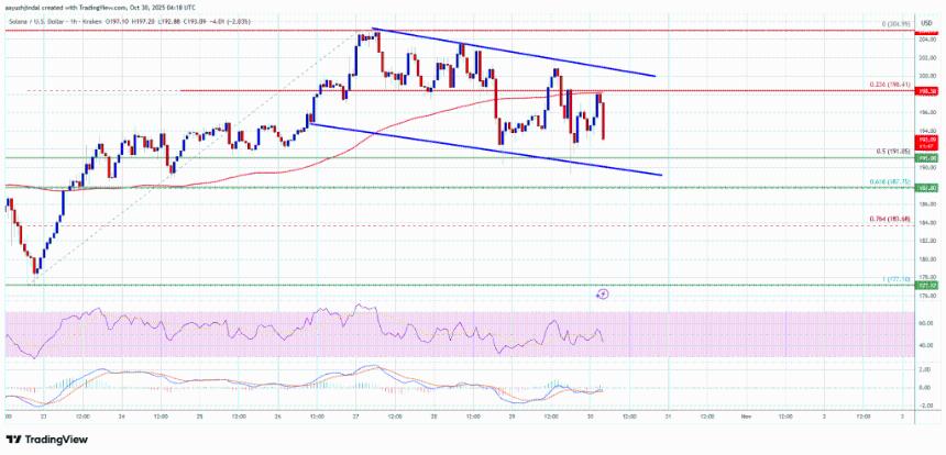 Solana (SOL) 跌至关键支撑位，市场或迎来反弹机会