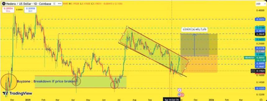 链上数据显示，随着比特币失去上涨势头，这三种加密货币有望爆发式增长。