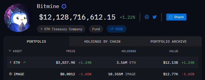Bitmine Ethereum holding