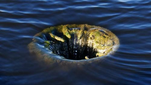  受宏观经济紧张情绪影响，比特币下跌，ETF每周资金流出达6亿美元：Crypto Daybook Americas 