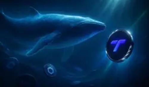 IMOV - Upcoming Partnership