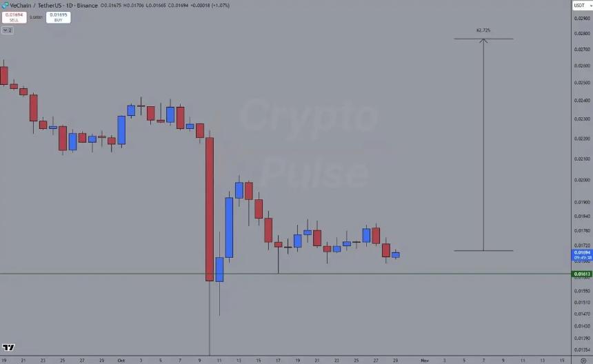 2025年最具投资潜力的山寨币：探索下一个加密货币明星
