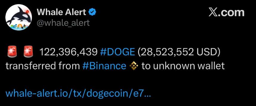 巨鲸动作引发猜测:超5000万美元狗狗币从交易所撤出,是否预示大涨来临?