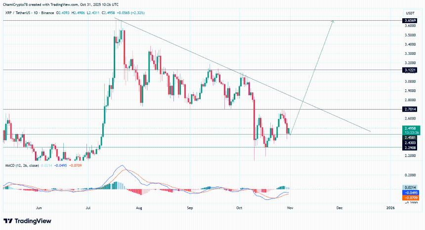  XRP 守住关键支撑位，巨鲸逢低买入——3.12 美元指日可待吗？ 