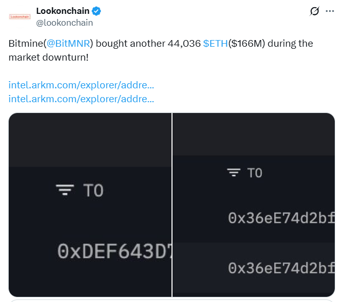 11月值得关注的加密货币股票:CRCL、BMNR 和 HOOD