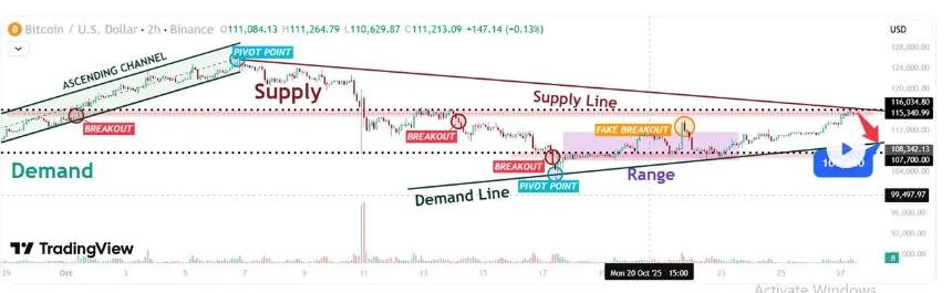 Cardano创始人豪言：ADA将在2030年前超越比特币