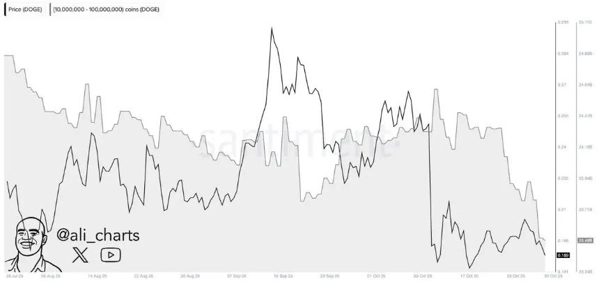  加密市场新趋势：狗狗币巨鲸抛售4.4亿枚，Tapzi预售突破70%成焦点 