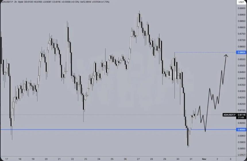 Cardano能否涨至5美元?创始人预测引发巨鲸用户抢购热潮