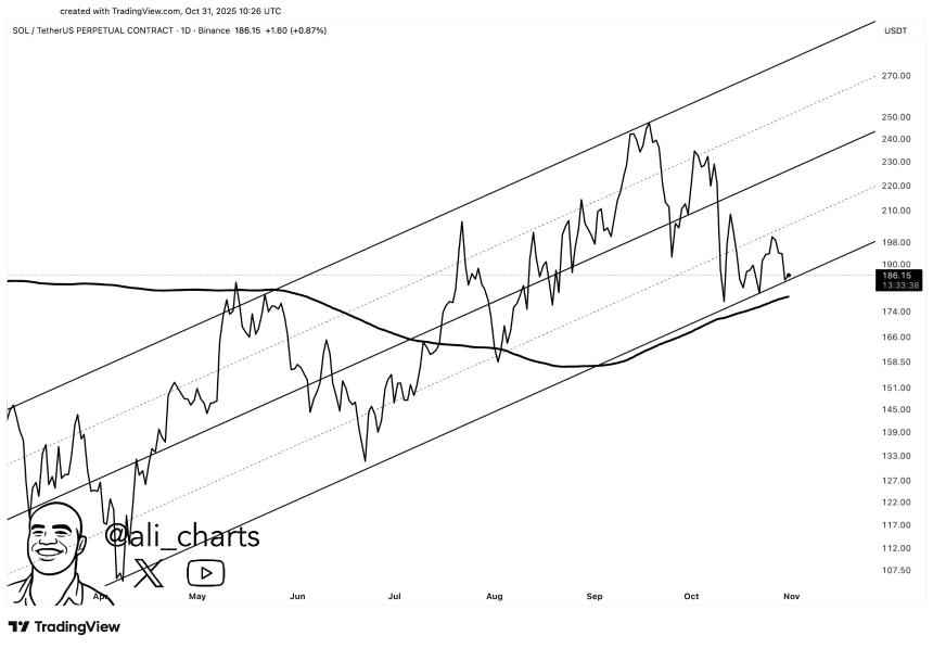 Solana突破180美元关键价位——你应该知道什么