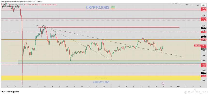 比特币价格回落,专家预测Remittix、Solana和Cardano或成未来赢家