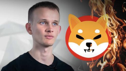 揭秘：Vitalik Buterin 获赠 Shiba Inu 50% 股份的背后原因