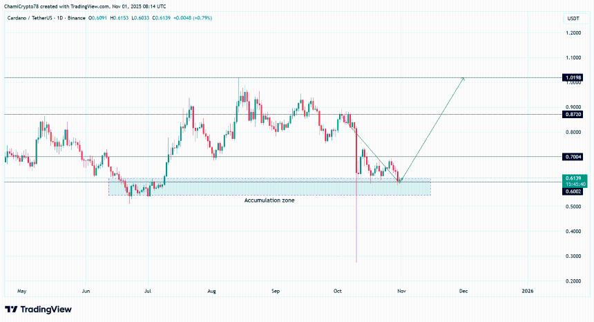  卡尔达诺：巨鲸资金外流增加对ADA的下一轮上涨意味着什么 