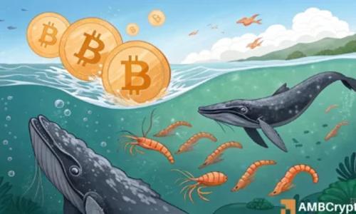 比特币零售流入量骤降：从450 BTC到92 BTC的深度分析