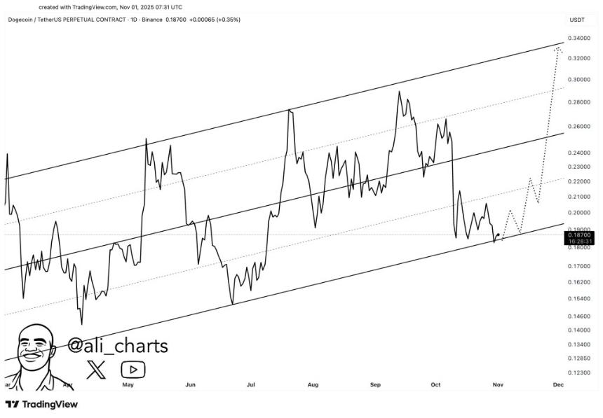 链上数据显示，狗狗币必须守住当前价位才能避免暴跌0.07美元。