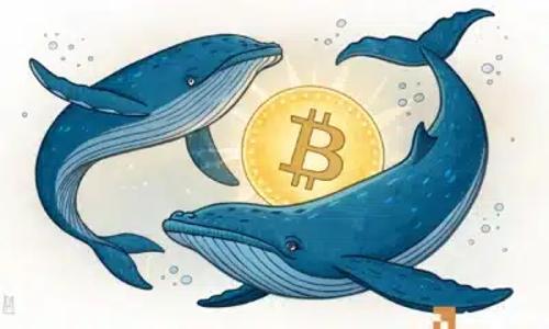 比特币：劳动力数据公布前影响价格走势的三大关键因素