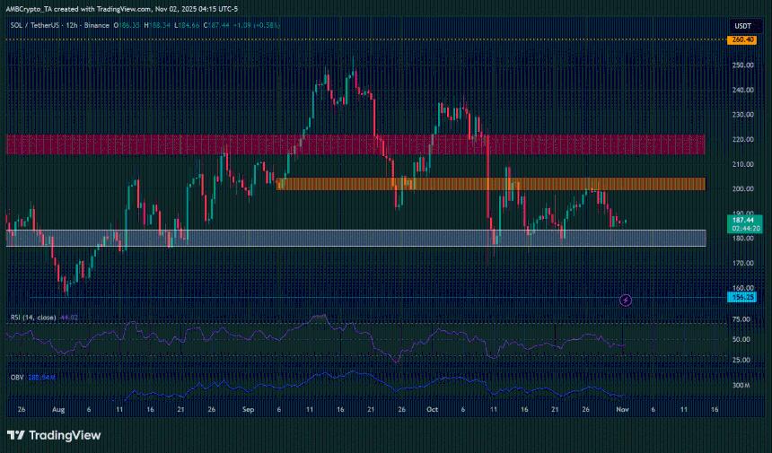  阿卡姆警告称，大多数山寨币已下跌 60%——ETF 的热潮会带来积极影响吗？ 