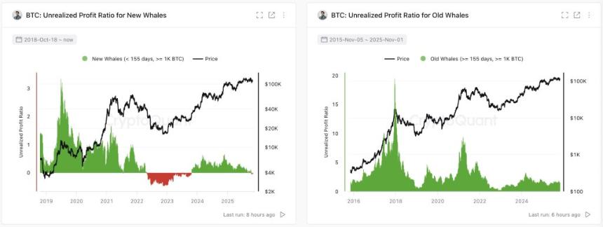 比特币牛市：是终结还是中场休息？CryptoQuant CEO深度解析