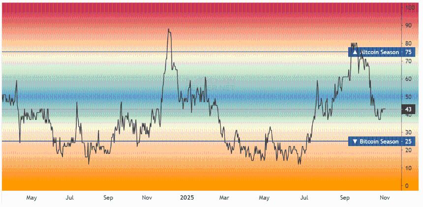  阿卡姆警告称，大多数山寨币已下跌 60%——ETF 的热潮会带来积极影响吗？ 