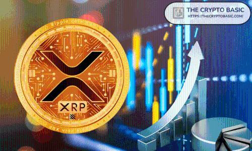 专家称将全力押注XRP：投资逻辑与市场趋势解析