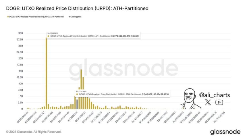 链上数据显示，狗狗币必须守住当前价位才能避免暴跌0.07美元。