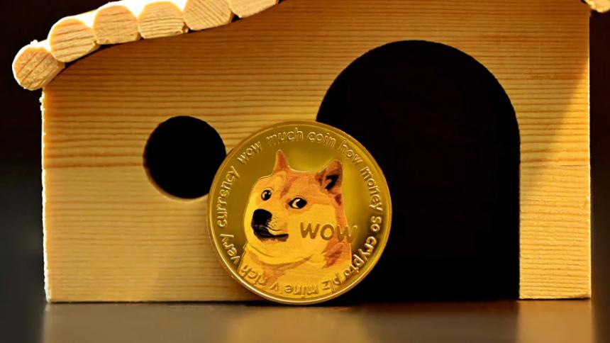 狗狗币预警：11月或将再现历史性上涨行情