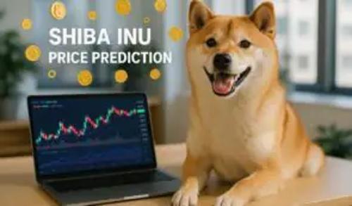 柴犬价格预测：DeepSnitch AI融资突破50万美元，交易员转向高潜力实用型代币