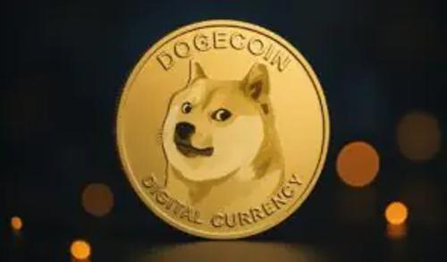 埃隆·马斯克宣布不再推广加密货币，狗狗币未来何去何从？