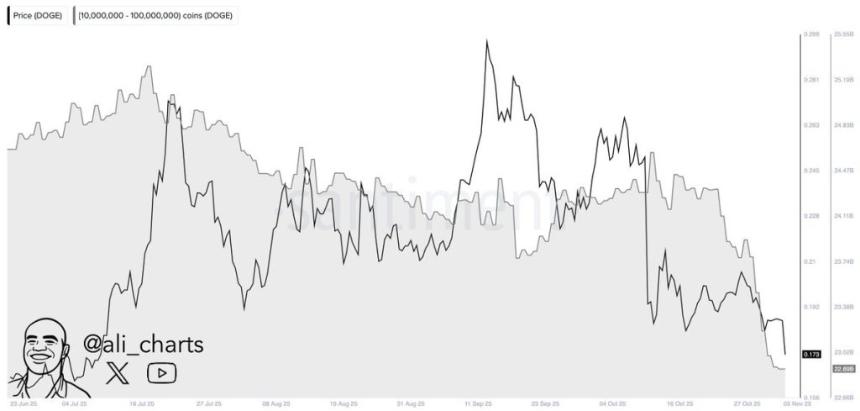 狗狗币巨鲸抛售数十亿美元狗狗币——狗狗币价格上涨是否有可能暴跌至0.1美元？