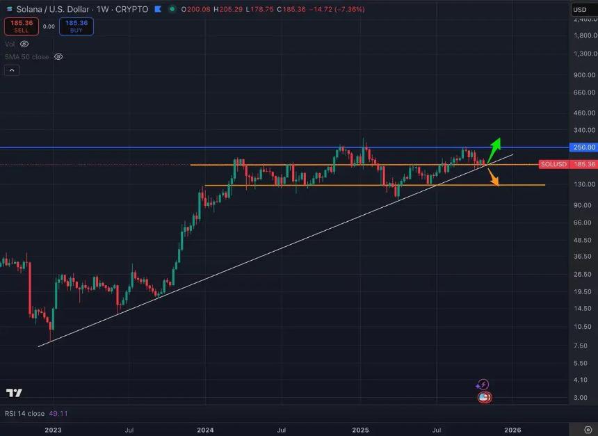 柴犬价格预测:DeepSnitch AI融资突破50万美元,交易员转向高潜力实用型代币