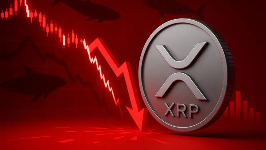 XRP价格动态：代币跌破2.30美元，市场抛压加剧，巨鲸离场引发3100万美元清算