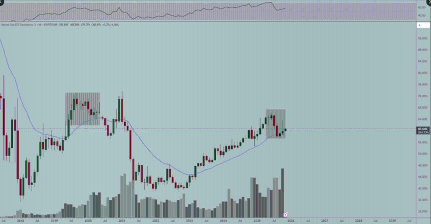 分析师:比特币依然保持强势,但疲软迹象正在不断显现