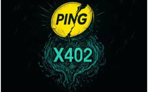 PING 和 PAY<span class='keyword'>AI</span> 的战略布局：MEME与实用代币的转型之路