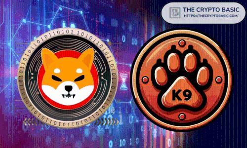K9 Finance向Shibarium黑客提供20 ETH赏金，Shiba Inu开发者敦促尽快领取