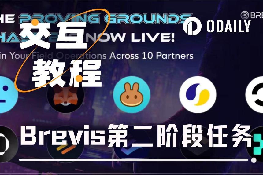 手把手带你参与Brevis第二阶段任务