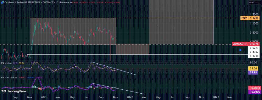 Cardano PO3 Structure