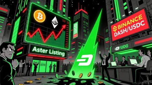 达世币 (DASH) 逆势上涨的背后逻辑及其投资启示