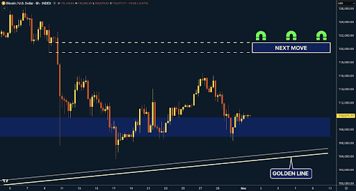  分析师的完整市场分析揭示了比特币价格为何将冲向 12 万美元。 