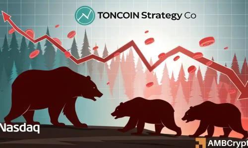 Toncoin价格下跌10%的背后：纳斯达克警告引发市场恐慌