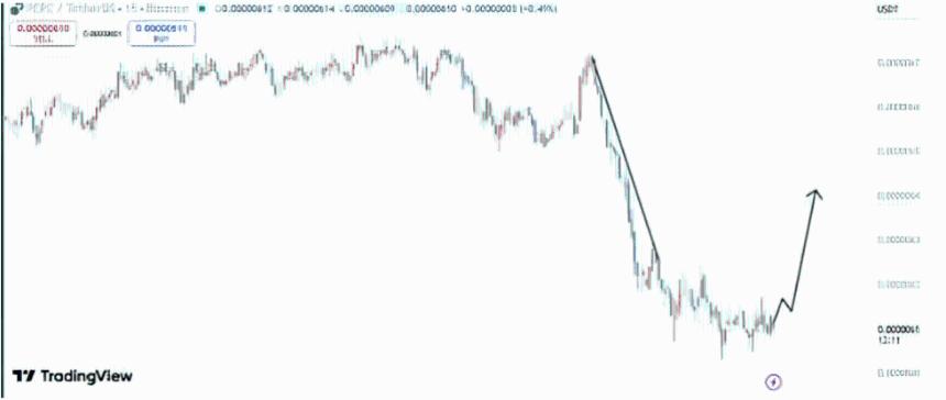 PEPE價格預測下跌至關鍵位能否重現100%反彈?專家指新Pepe幣更具100倍潛力!