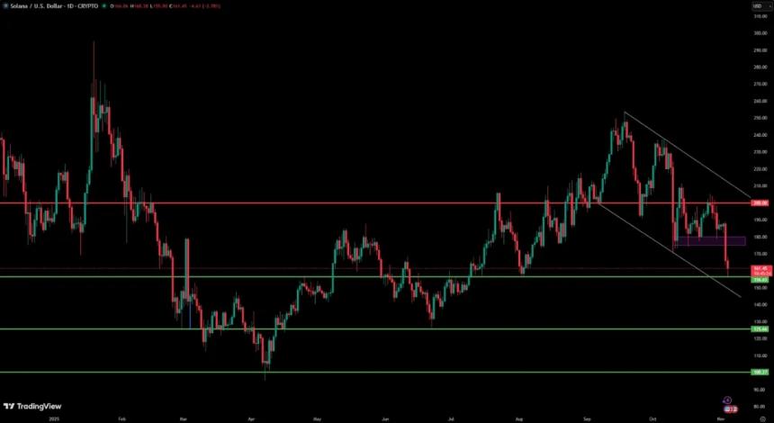 Solana ($SOL) 的价格预测将达到 500 美元，但今天买入 Digitap ($TAP) 就相当于以 3 美元的价格买入 $SOL。