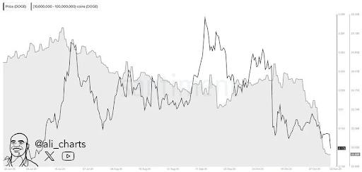 狗狗币和柴犬币价格暴跌的原因及未来反弹可能性分析