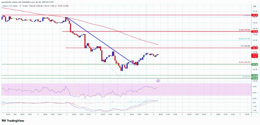  Solana (SOL) 的恢复尝试正在进行中，但成交量仍然发出谨慎信号 