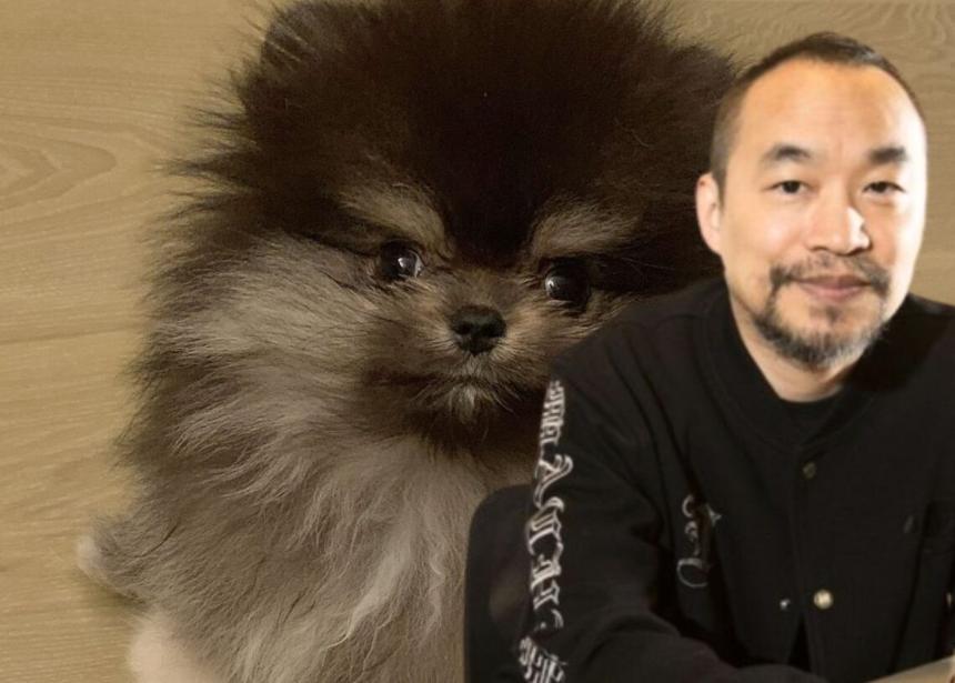 麻吉大哥“归零”记