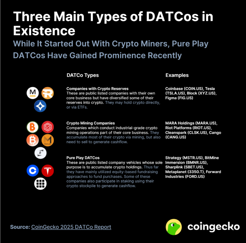 2025年数字资产财库公司 (DATCo) 报告