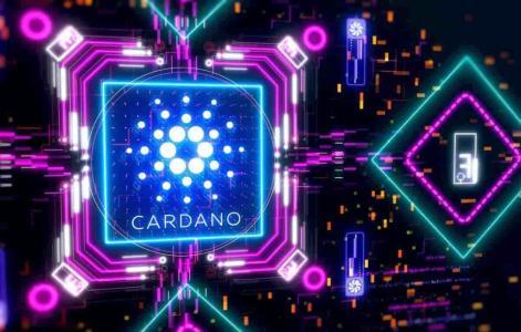 精明投资者为何持续看好Cardano (ADA)：四大原因解析
