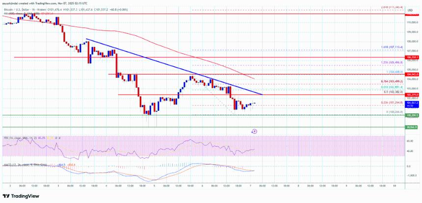  比特币走弱，新一轮下跌或将跌破关键支撑位 