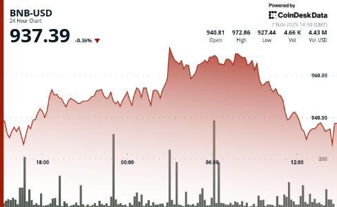 BNB价格承压回落，关键支撑位930美元成焦点