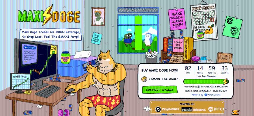 麦克西狗狗悄然成为2025年最明智的投资选择