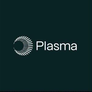 山寨币市场反弹：1INCH、TEL 和 XPL 成为焦点，谁是下一个加密货币明星？